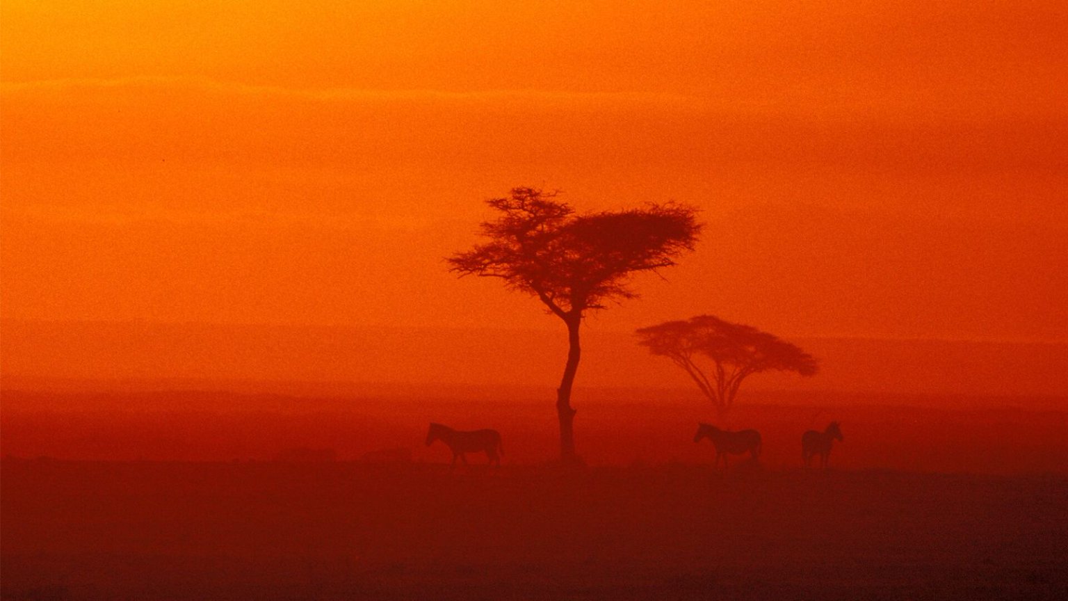 Kenya