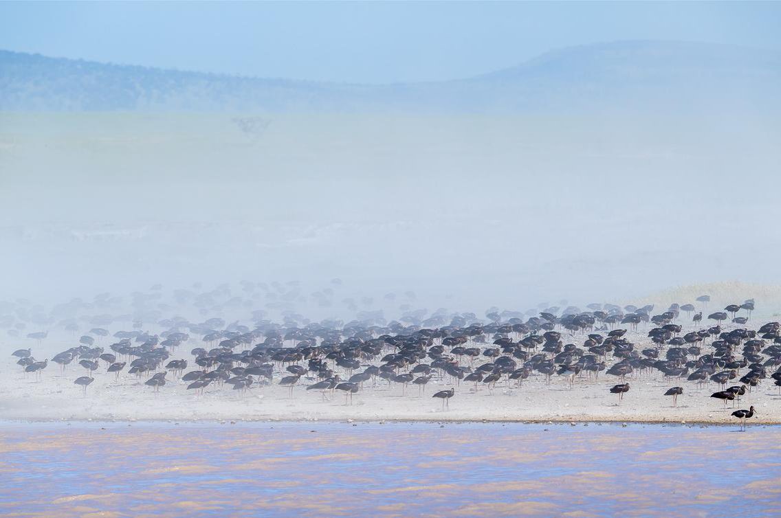Tanzania